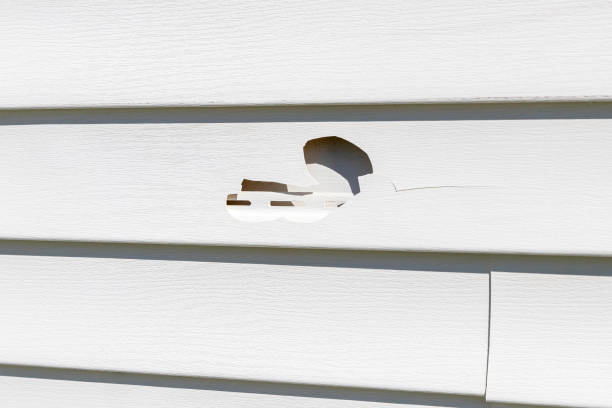 Property Management Cleanouts in Gluckstadt, MS