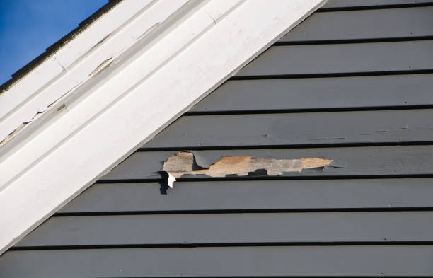 Best Shed Removal  in Gluckstadt, MS